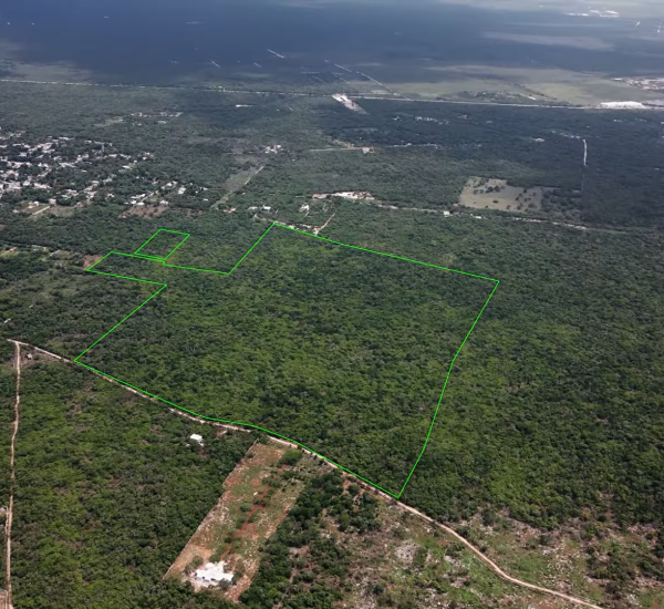 PORTADA 2 MOCOCHA YUCATAN